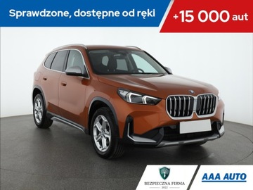 BMW X1 sDrive18i, Salon Polska, 1. Właściciel