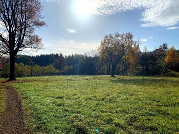 Działka, Jugów, Nowa Ruda (gm.), 2996 m²