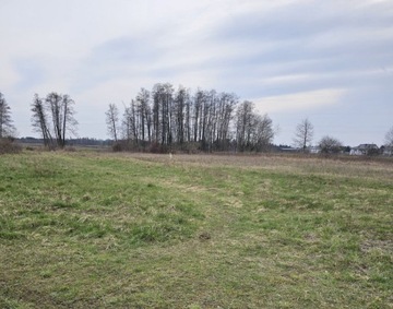 Działka, Ustanów, Prażmów (gm.), 1600 m²