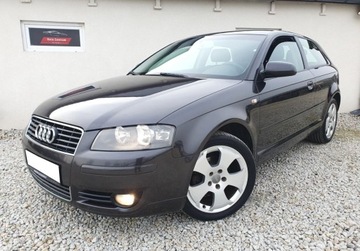 Audi A3 SLICZNA 1.9 TDI Bogata Wersja ORYGINAL...