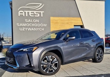 Lexus UX Optimum 2WD 171KM Navi Alcantara Kame...