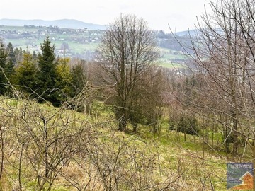 Działka, Stara Wieś, 4500 m²