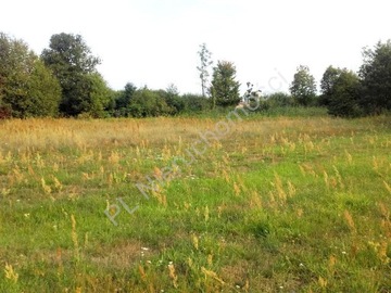 Działka, Gągolina, Siennica (gm.), 3010 m²