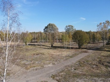 Działka, Będzin, 600 m²