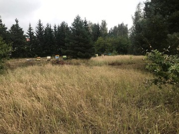 Działka, Stefanowo, 3000 m²