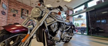 Harley-Davidson Inny Harley dawidson vrscr 2006