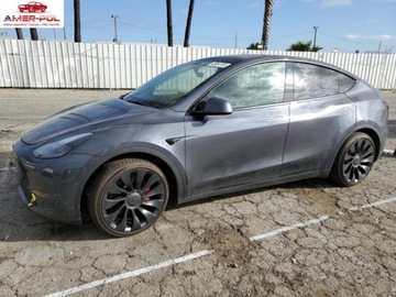 Tesla Y TESLA MODEL Y, 2022r., 4x4