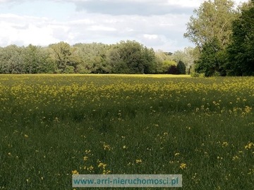 Działka, Łazy, Lesznowola (gm.), 500 m²