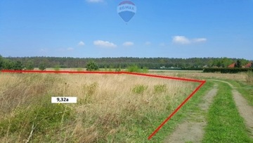 Działka, Siedliska, Dąbrowa (gm.), 932 m²