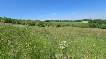 Działka, Okocim, Brzesko (gm.), 5335 m²