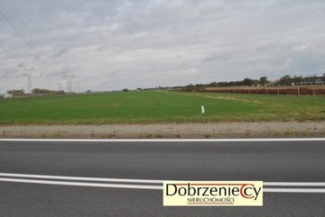 Działka, Swadzim, 8500 m²