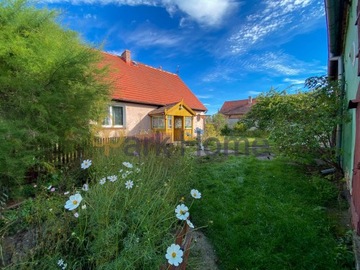 Dom, Czerwieńsk, Czerwieńsk (gm.), 100 m²