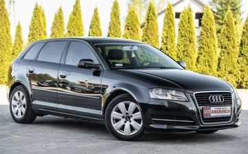 Audi A3 1.6TDI 105KM Klimatronic Tempomat Park...