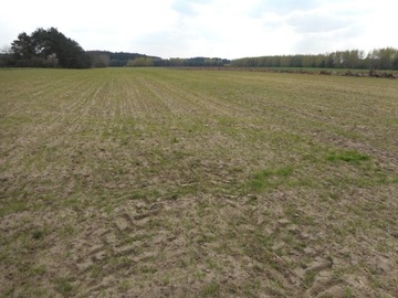 Działka, Serock (gm.), 10000 m²