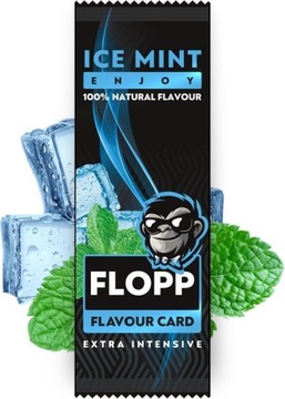 20 x karta aromatyzująca Flopp Ice Mint