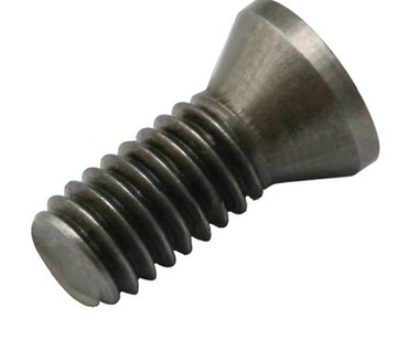 Śruba Torx do mocowania płytek M3x6/10szt./