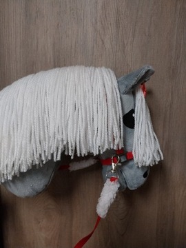 Konik hobby horse 