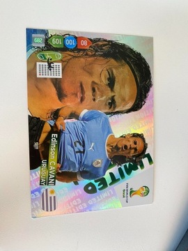 Cavani XXL panini 2014 world cup 