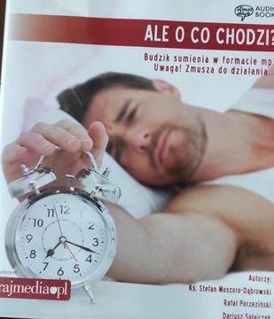 Ale o co chodzi? R. Porzeziński i inni 