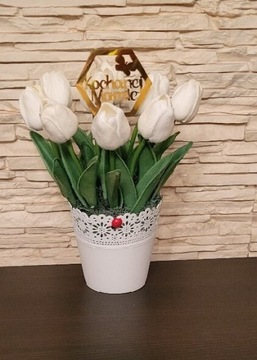 Kwiaty w Doniczce  Dzień Kobiet Matki Tulipany