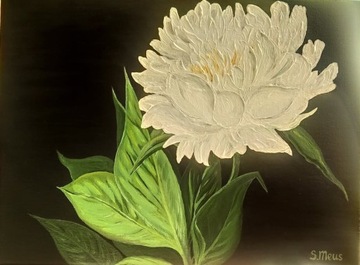 Obraz akrylowy 30 x 40 cm "Biała piwonia"