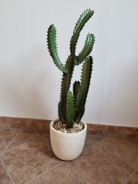 Kaktus sztuczny