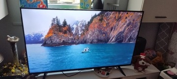 Xiaomi Mi LED TV P1 55 (L55M6-6AEU)