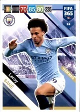 Sane Team Mate 2019 Panini