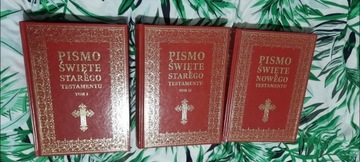 Pismo Święte Starego i Nowego Testamentu