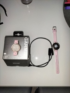 Smartwatch Garmin Lily 