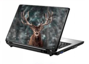 laptop | HP Chromebook 14 G3|zasilacz|9h!!!|skin83