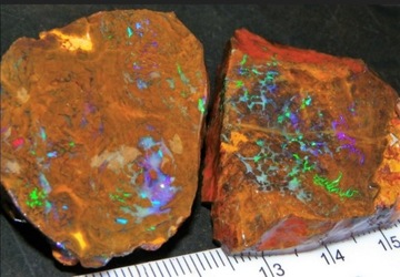 Opal naturalny 43 gram Australia 