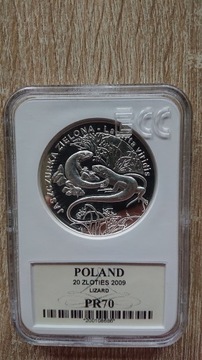 20zł.2009r.Jaszczurka Zielona.PR70