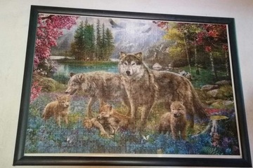 Obraz todzina wilków z ułożonych puzzli 50x70