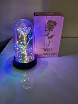 Róża w szkle LED