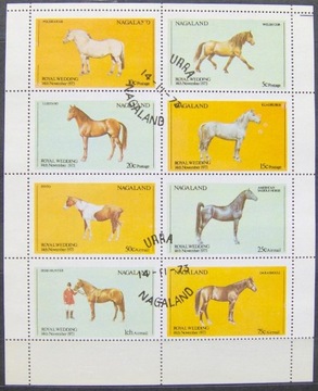 Nagaland -Indie Konie arkusz