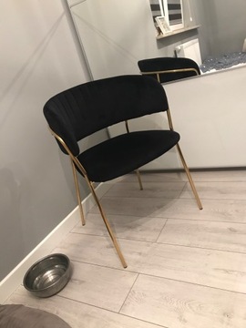 Krzesło ze złotymi nogami 