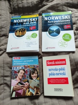 Norweski Krok Dalej; Norweski kurs podstawowy