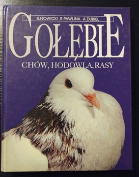 Gołębie chów, hodowla, rasy