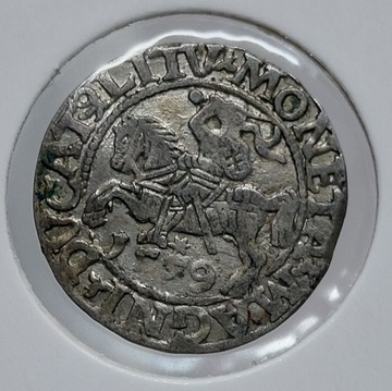 192 półgrosz 1559 Litewski Zygmunt August odwrotka