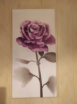 Obraz z fioletowa różą 