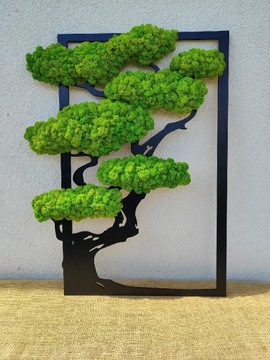Drzewko, drzewo bonsai, Obraz z mchu 70 cm Mech