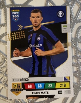 FIFA 365 (2023) | DZEKO (304)