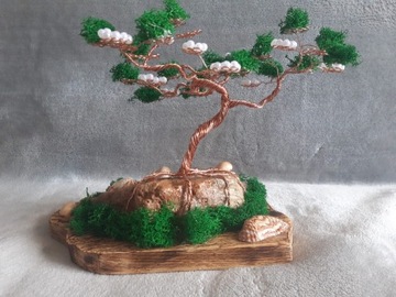 Drzewko szczęścia (bonsai)