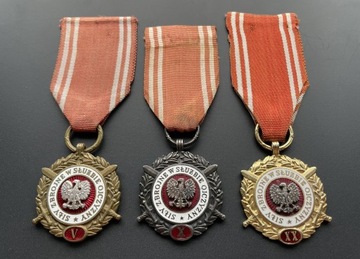 Medale Siły Zbrojne w Służbie Ojczyzny komplet LWP