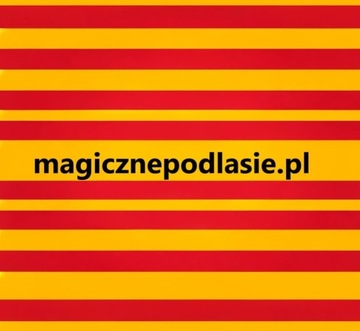 DOMENA-  magicznepodlasie.pl