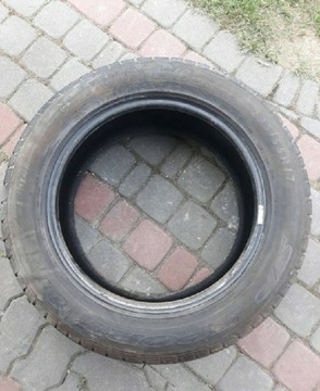 Opona Dunlop SP Sport 01