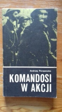 Andrzej Perepeczko, Komandosi w akcji, Gdańsk 1982