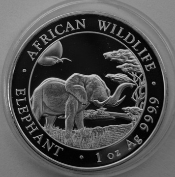 SŁOŃ SOMALIA 2019 1 oz Ag .999 uncja