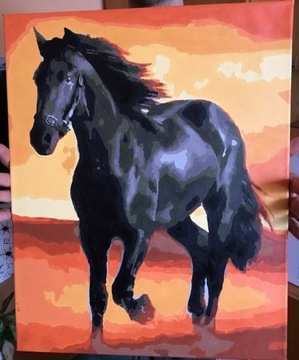 Obraz Koń ręcznie malowany 40x50cm